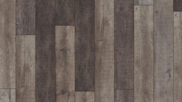 4760 Exguisit Альто