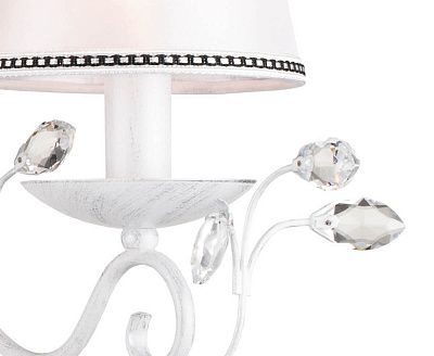 1012/2W-WS (10) БРА