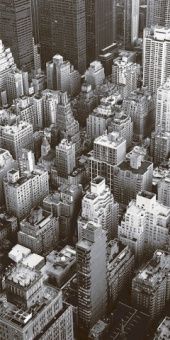 Вставка "Сити D1" (300х600)  Люкс 5300600