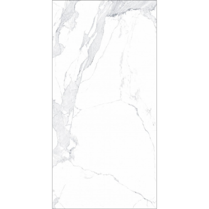 Плитка керамическая глазурованная для пола TM ALLORE Avenzo Silver F P 600*1200 R Mat 2