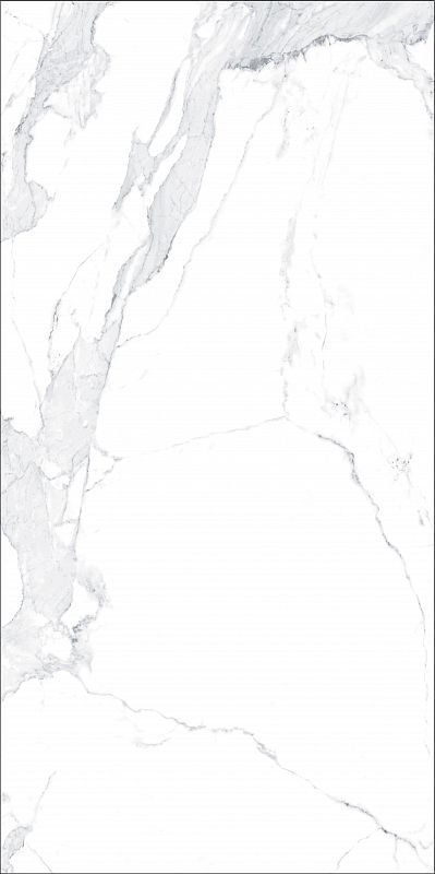 Avenzo Silver F P 600*1200 R FuII Lappato 1