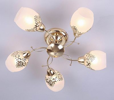 30365,01,01,05 люстра