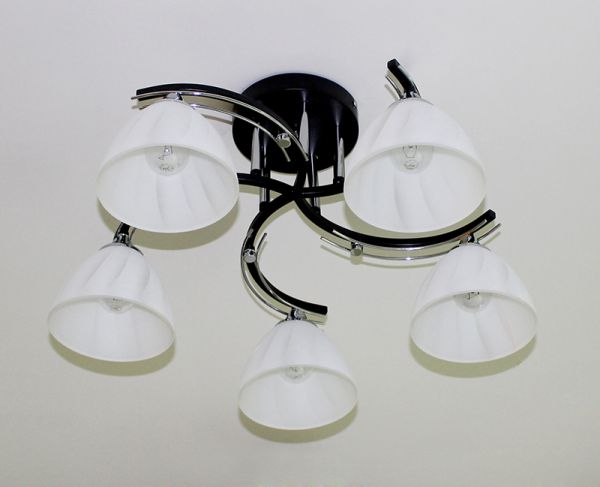 65351,01,13,05 (4) ЛЮСТРА