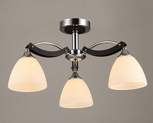 65243,01,13,03 (4) ЛЮСТРА