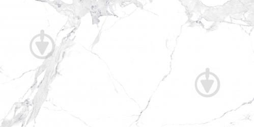 Плитка керамическая глазурованная для пола TM ALLORE Avenzo Silver F P 595*1190 R FuII Lappato 1